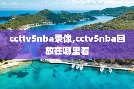 ccttv5nba录像,cctv5nba回放在哪里看