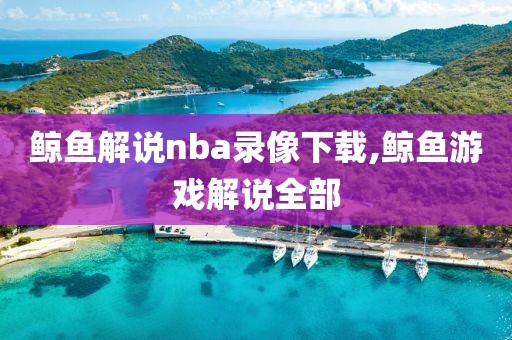鲸鱼解说nba录像下载,鲸鱼游戏解说全部