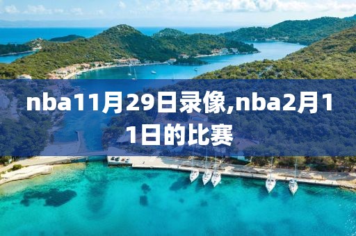 nba11月29日录像,nba2月11日的比赛