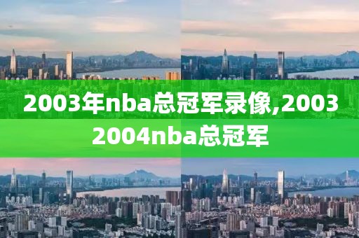 2003年nba总冠军录像,20032004nba总冠军