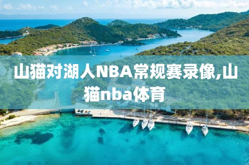山猫对湖人NBA常规赛录像,山猫nba体育
