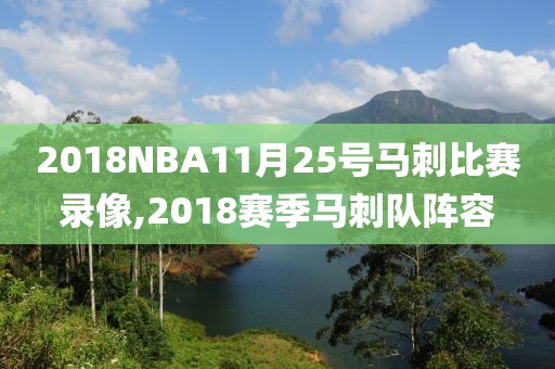 2018NBA11月25号马刺比赛录像,2018赛季马刺队阵容