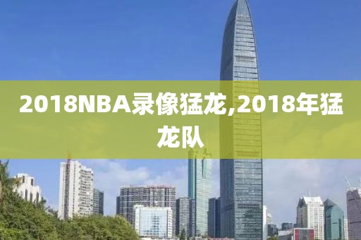 2018NBA录像猛龙,2018年猛龙队
