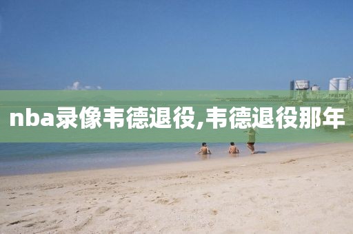 nba录像韦德退役,韦德退役那年