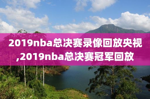 2019nba总决赛录像回放央视,2019nba总决赛冠军回放