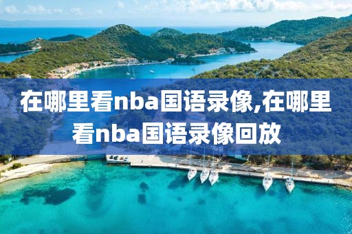 在哪里看nba国语录像,在哪里看nba国语录像回放