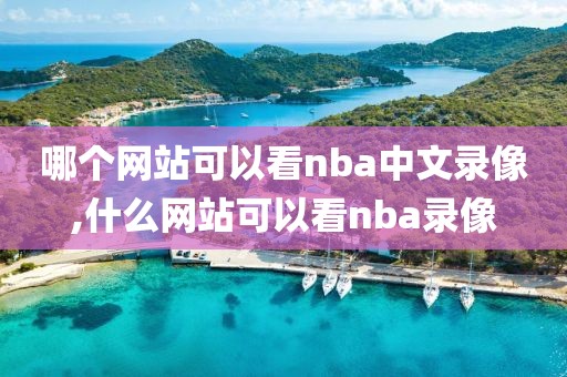 哪个网站可以看nba中文录像,什么网站可以看nba录像