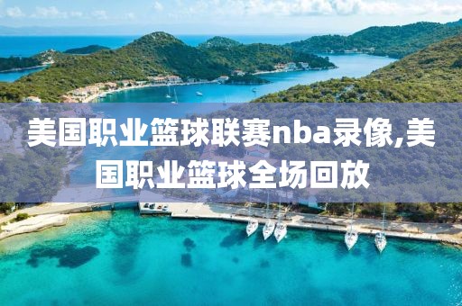 美国职业篮球联赛nba录像,美国职业篮球全场回放
