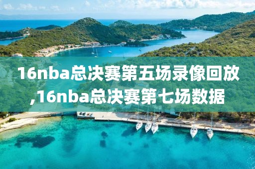 16nba总决赛第五场录像回放,16nba总决赛第七场数据